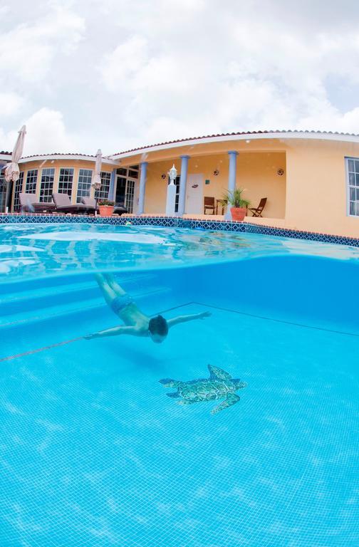 La Pura Vista Aparthotel Bonaire Ngoại thất bức ảnh