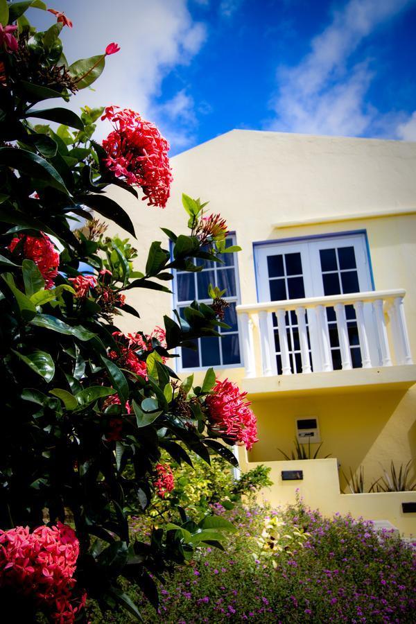 La Pura Vista Aparthotel Bonaire Ngoại thất bức ảnh